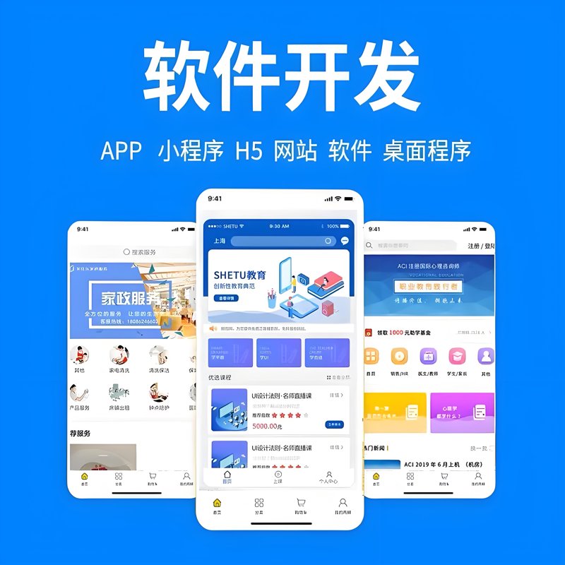软件开发行业的崛起与未来展望